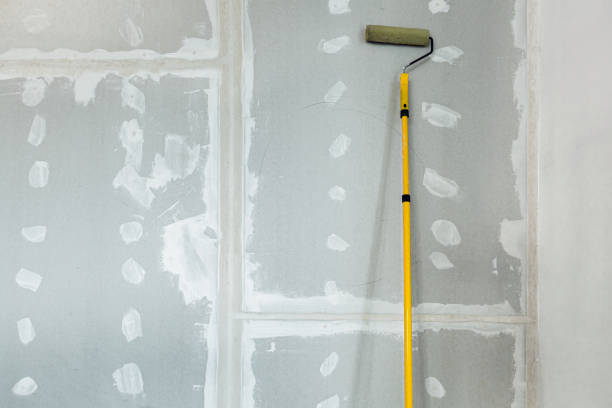 Best Dehumidification Services  in Fairhope, AL