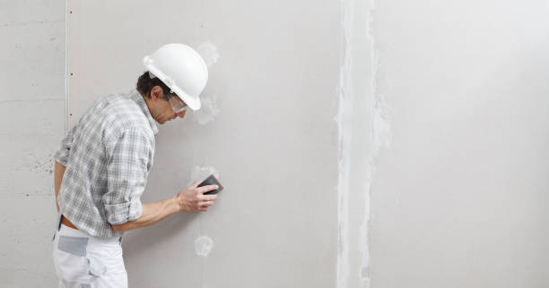 Best Water Damage & Mold Remediation  in Fairhope, AL