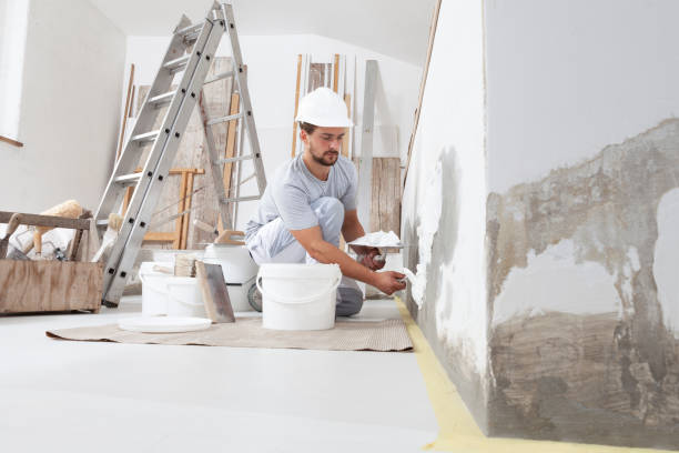 Environmental Consulting for Mold Prevention in Fairhope, AL