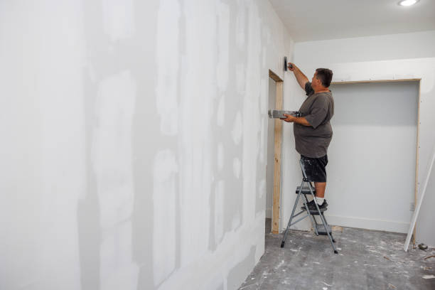 Best Residential Mold Inspection & Testing  in Fairhope, AL