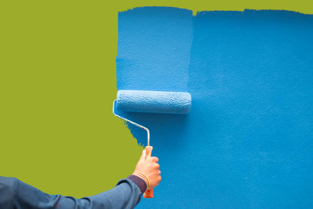 Best Forensic Mold Investigation  in Fairhope, AL